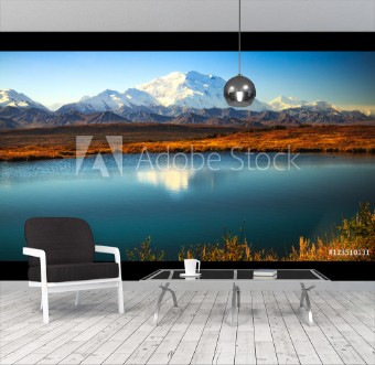 Picture of Denali Sunshine